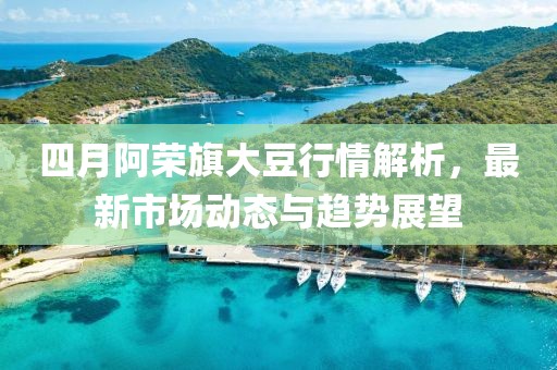 四月阿荣旗大豆行情解析，最新市场动态与趋势展望