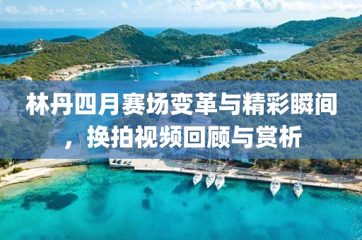 林丹四月赛场变革与精彩瞬间，换拍视频回顾与赏析