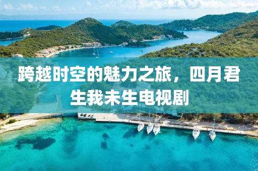 跨越时空的魅力之旅，四月君生我未生电视剧