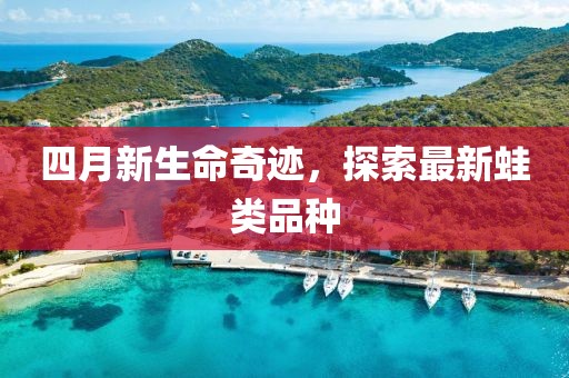 四月新生命奇迹，探索最新蛙类品种