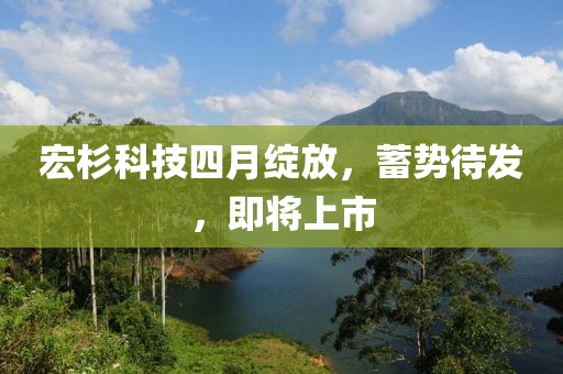 宏杉科技四月绽放，蓄势待发，即将上市