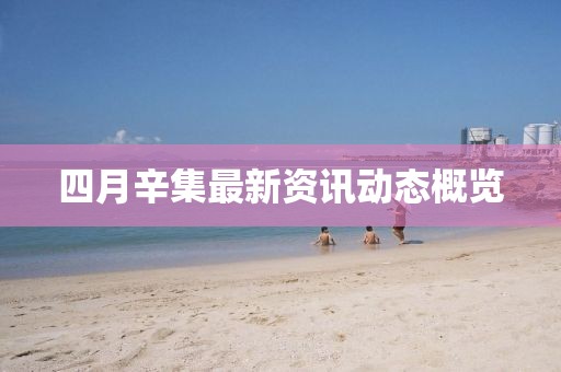 四月辛集最新资讯动态概览