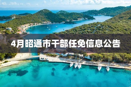 4月昭通市干部任免信息公告