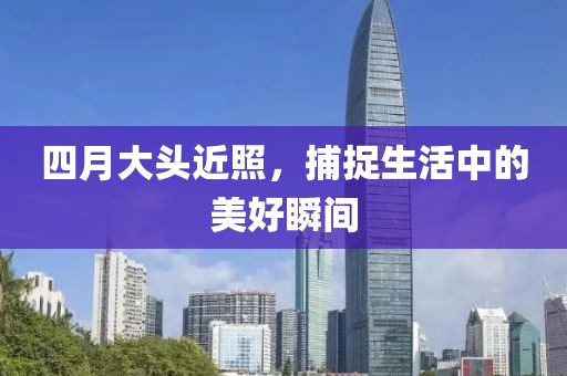四月大头近照，捕捉生活中的美好瞬间