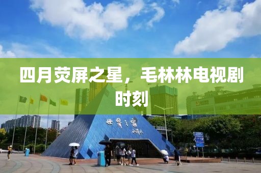 四月荧屏之星，毛林林电视剧时刻