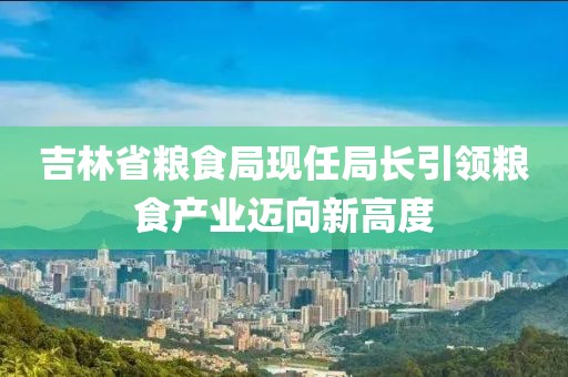 吉林省粮食局现任局长引领粮食产业迈向新高度