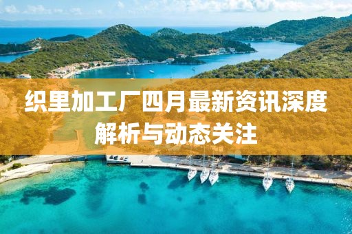 织里加工厂四月最新资讯深度解析与动态关注