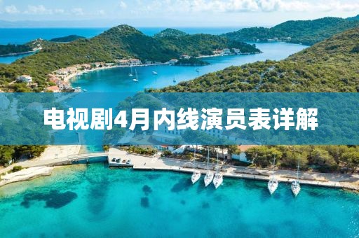 电视剧4月内线演员表详解