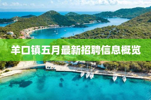 羊口镇五月最新招聘信息概览