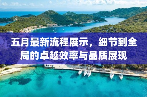 五月最新流程展示，细节到全局的卓越效率与品质展现