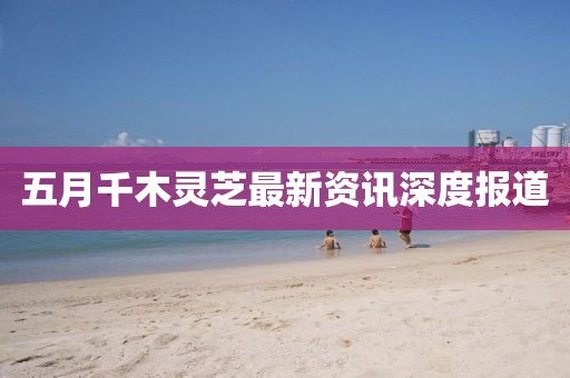 五月千木灵芝最新资讯深度报道