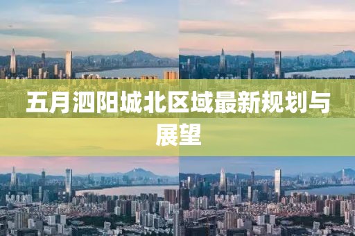 五月泗阳城北区域最新规划与展望