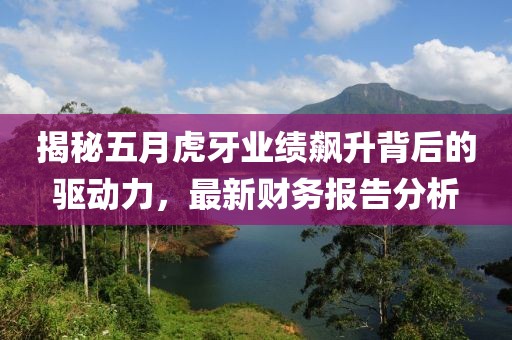 揭秘五月虎牙业绩飙升背后的驱动力，最新财务报告分析