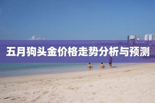 五月狗头金价格走势分析与预测