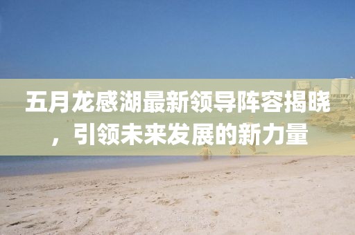 五月龙感湖最新领导阵容揭晓，引领未来发展的新力量