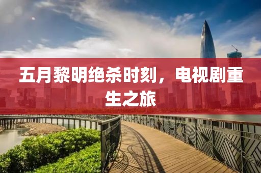 五月黎明绝杀时刻，电视剧重生之旅