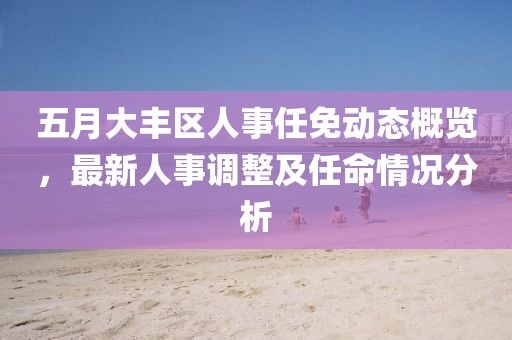 五月大丰区人事任免动态概览，最新人事调整及任命情况分析