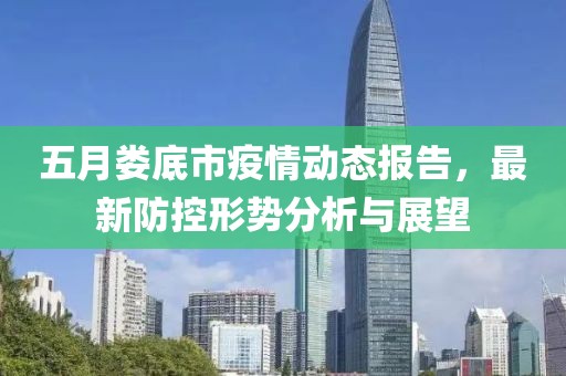 五月娄底市疫情动态报告，最新防控形势分析与展望