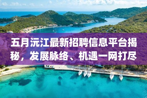 五月沅江最新招聘信息平台揭秘，发展脉络、机遇一网打尽
