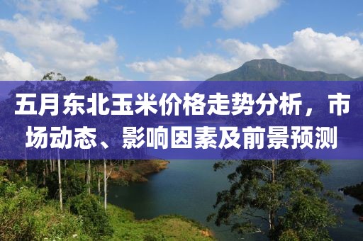 五月东北玉米价格走势分析，市场动态、影响因素及前景预测