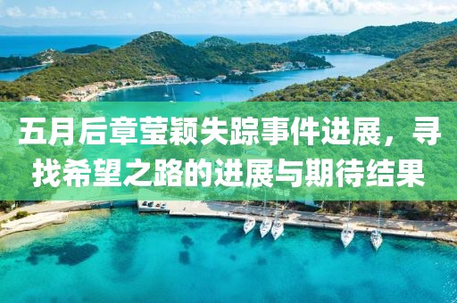 五月后章莹颖失踪事件进展，寻找希望之路的进展与期待结果