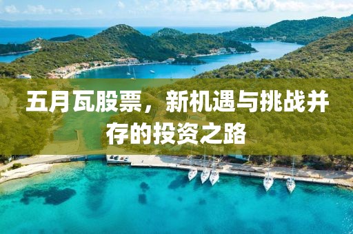 五月瓦股票，新机遇与挑战并存的投资之路