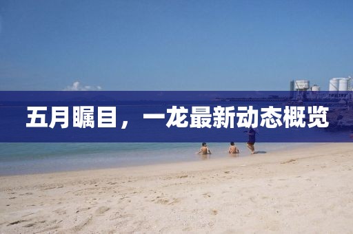 五月瞩目，一龙最新动态概览