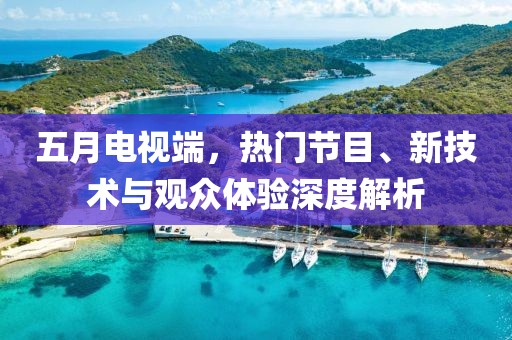 五月电视端，热门节目、新技术与观众体验深度解析