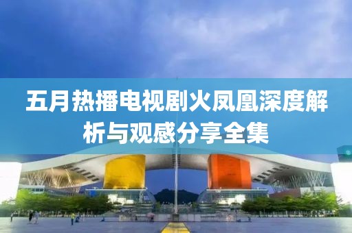 五月热播电视剧火凤凰深度解析与观感分享全集