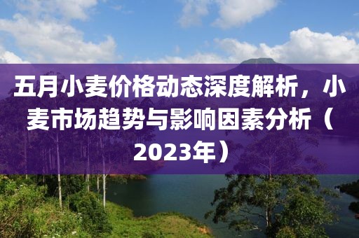 五月小麦价格动态深度解析，小麦市场趋势与影响因素分析（2023年）