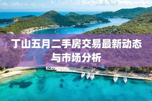 丁山五月二手房交易最新动态与市场分析