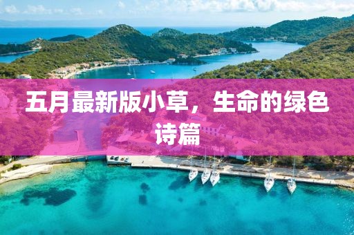 五月最新版小草，生命的绿色诗篇