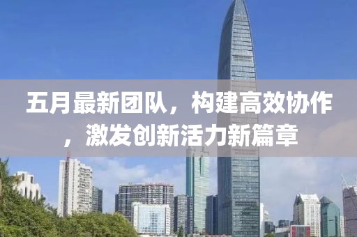 五月最新团队，构建高效协作，激发创新活力新篇章