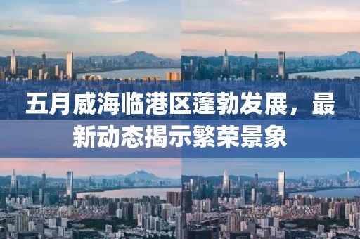 五月威海临港区蓬勃发展，最新动态揭示繁荣景象