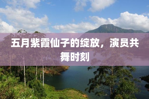五月紫霞仙子的绽放，演员共舞时刻
