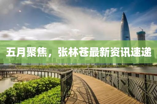 五月聚焦，张林苍最新资讯速递