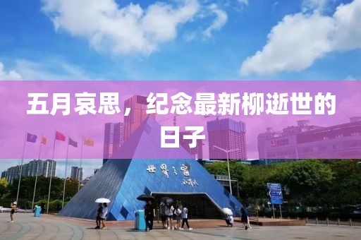 五月哀思，纪念最新柳逝世的日子