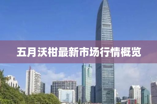 五月沃柑最新市场行情概览