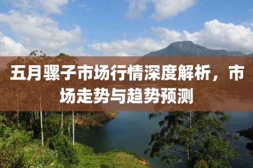 五月骡子市场行情深度解析，市场走势与趋势预测