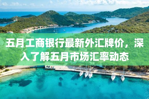 五月工商银行最新外汇牌价，深入了解五月市场汇率动态