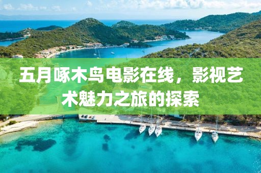五月啄木鸟电影在线，影视艺术魅力之旅的探索