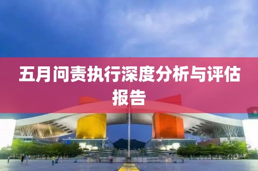 五月问责执行深度分析与评估报告