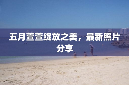 五月萱萱绽放之美，最新照片分享