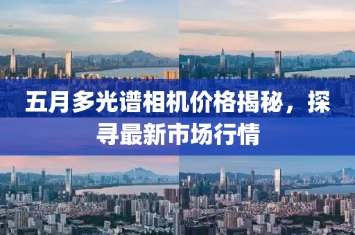 五月多光谱相机价格揭秘，探寻最新市场行情