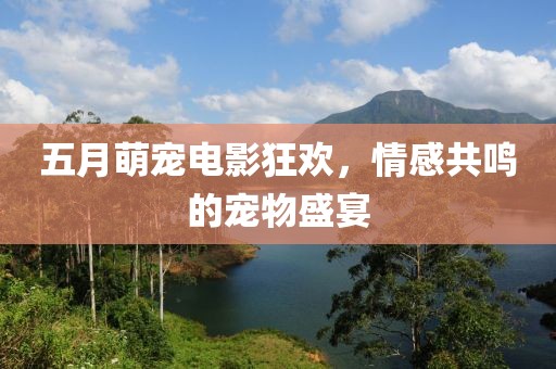 五月萌宠电影狂欢，情感共鸣的宠物盛宴