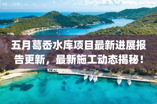 五月葛岙水库项目最新进展报告更新，最新施工动态揭秘！