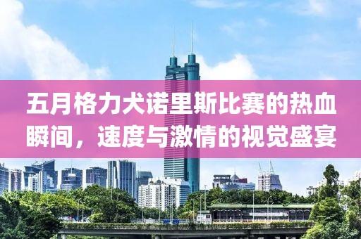 五月格力犬诺里斯比赛的热血瞬间，速度与激情的视觉盛宴