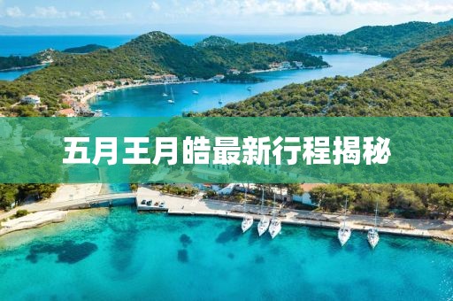 五月王月皓最新行程揭秘