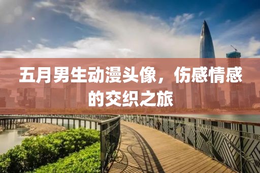 五月男生动漫头像，伤感情感的交织之旅