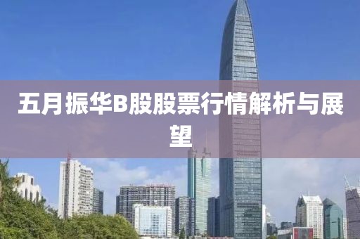 五月振华B股股票行情解析与展望